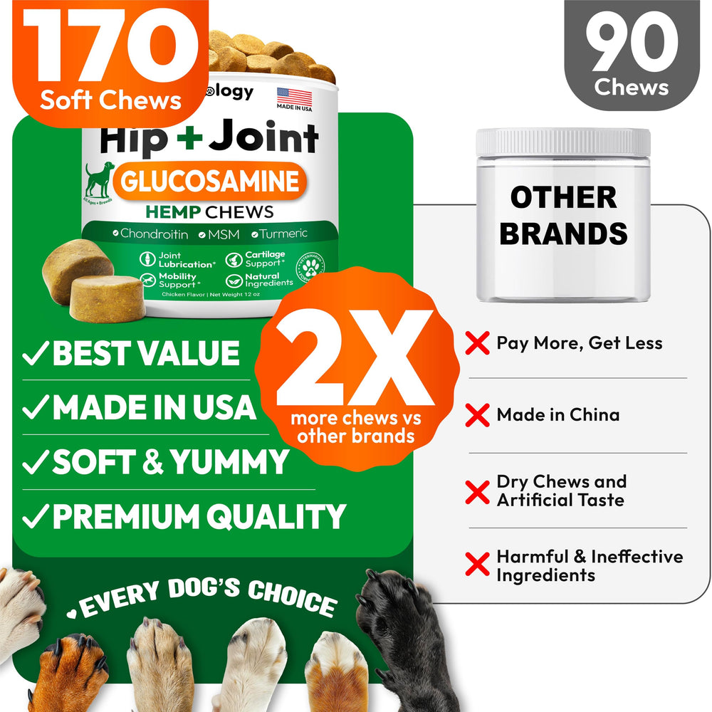 Petsology natural ingredients label highlights turmeric and MSM for joints