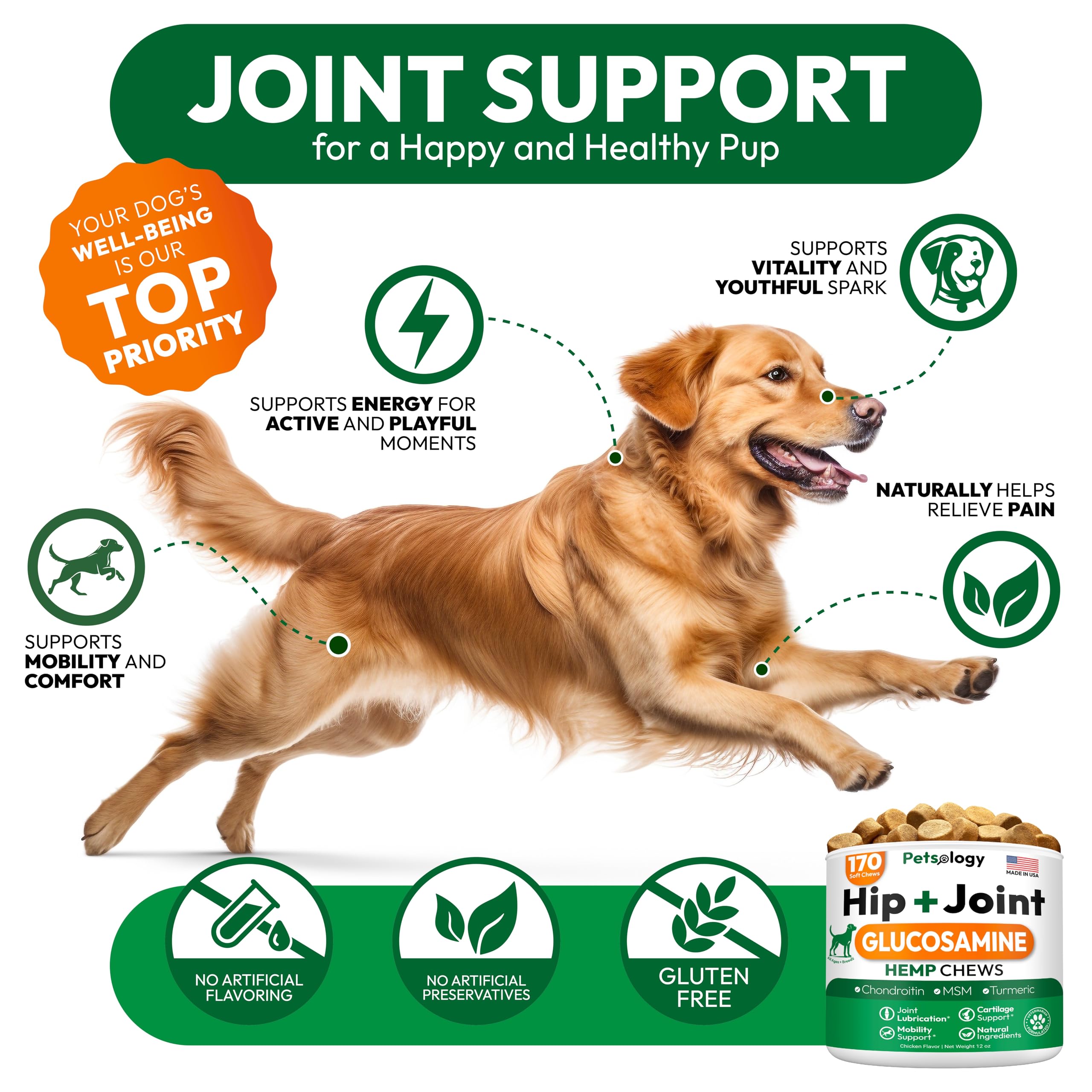 Petsology large-breed hip joint chews shown for daily activity
