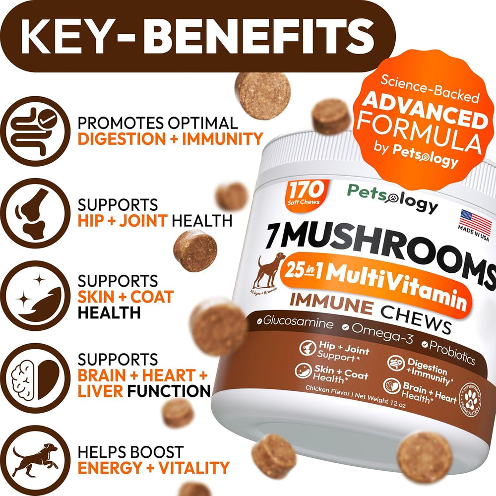 Petsology lions mane dogs chews highlight cognitive focus and energy