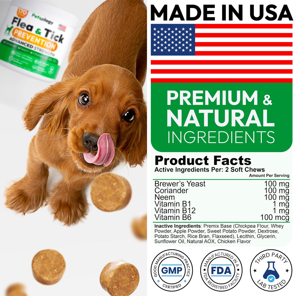 Petsology USA made facility seal on dog pill packaging