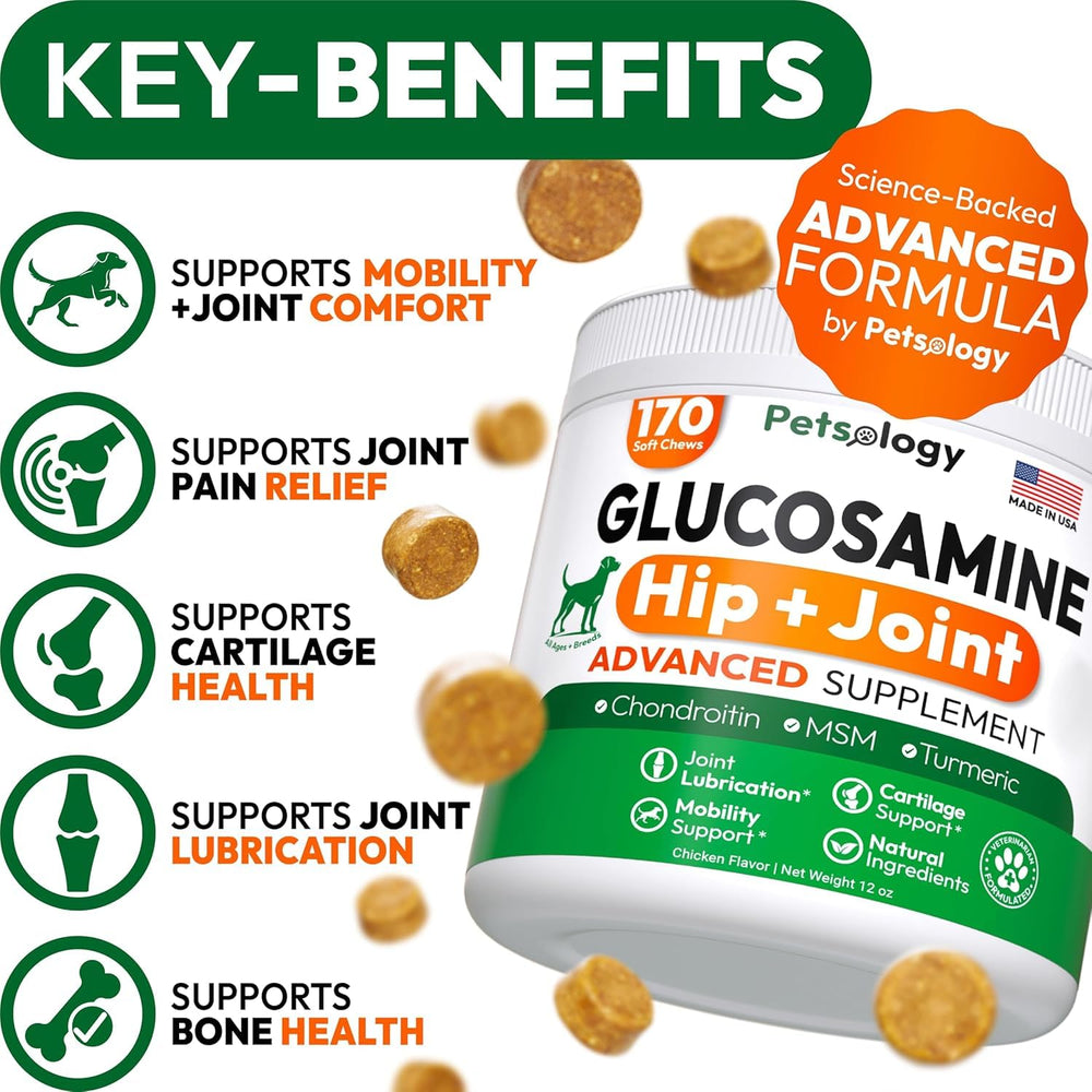 Petsology mobility chews 340 pack in view highlighting daily-use joint support
