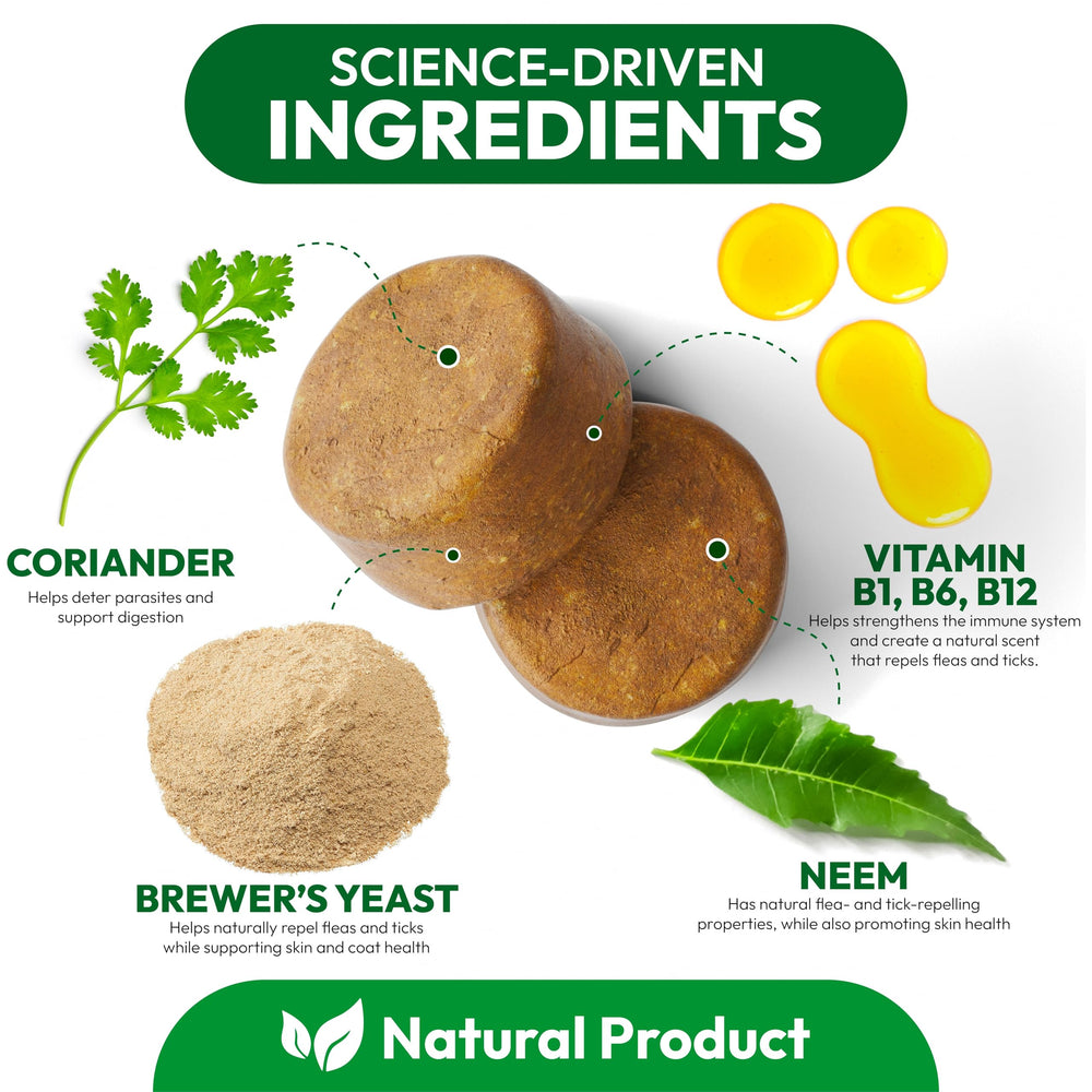 Petsology natural ingredients label on dog pills for chemical free flea tick defense