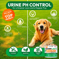 Petsology pH-balancing formula helps minimize urine grass damage.
