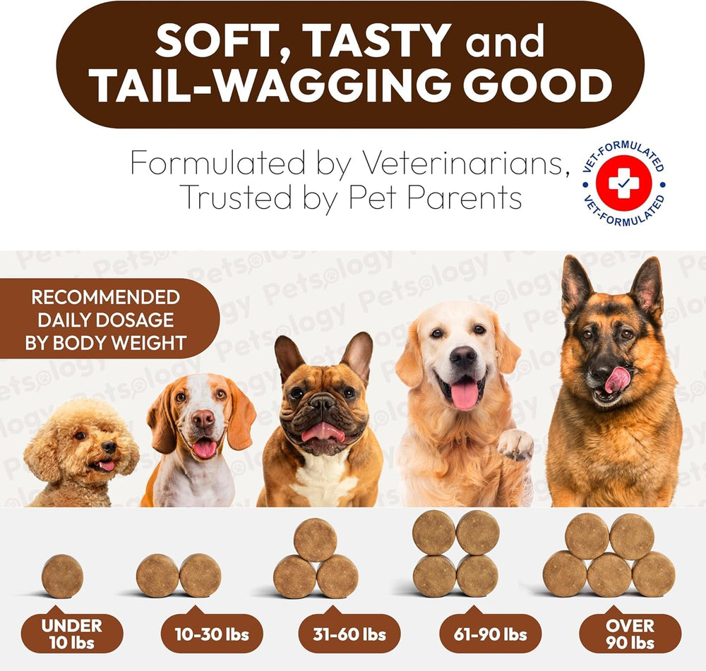 Petsology premium mushroom blend for dogs with veterinarian-crafted wellness