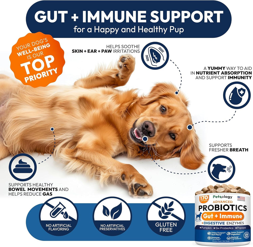 Petsology probiotics for dogs bottle label emphasizes USA-made production.