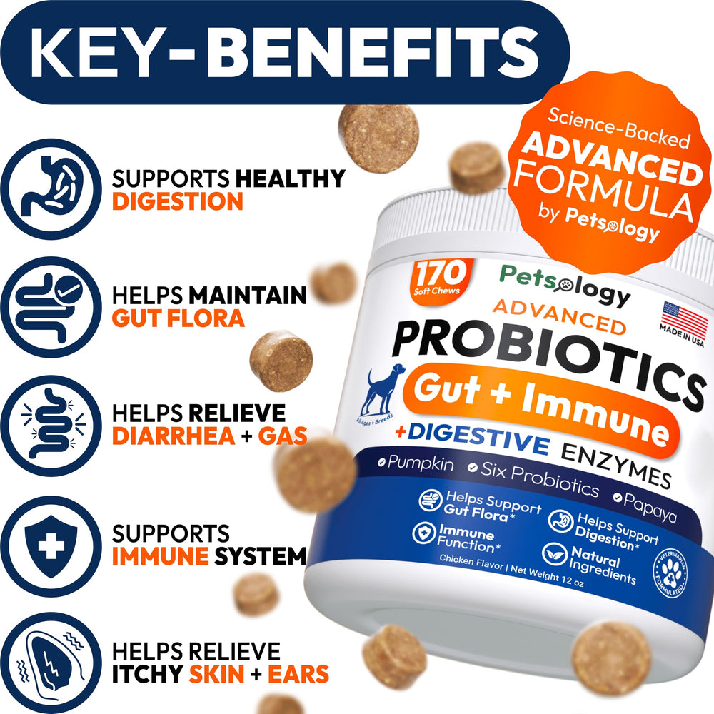 Petsology Probiotics for Dogs chews close-up show texture ideal for tasty daily support.