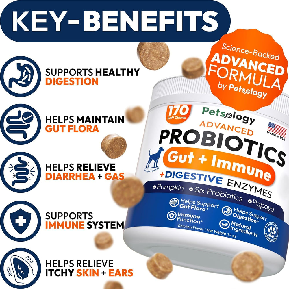 Petsology probiotics dogs chews in bowl demonstrate easy daily supplementation.