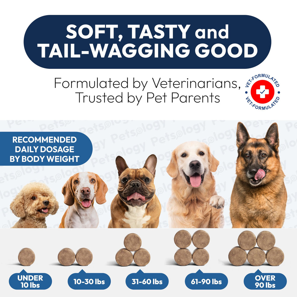 Petsology Probiotics for Dogs chews offered after meals for balanced gut.