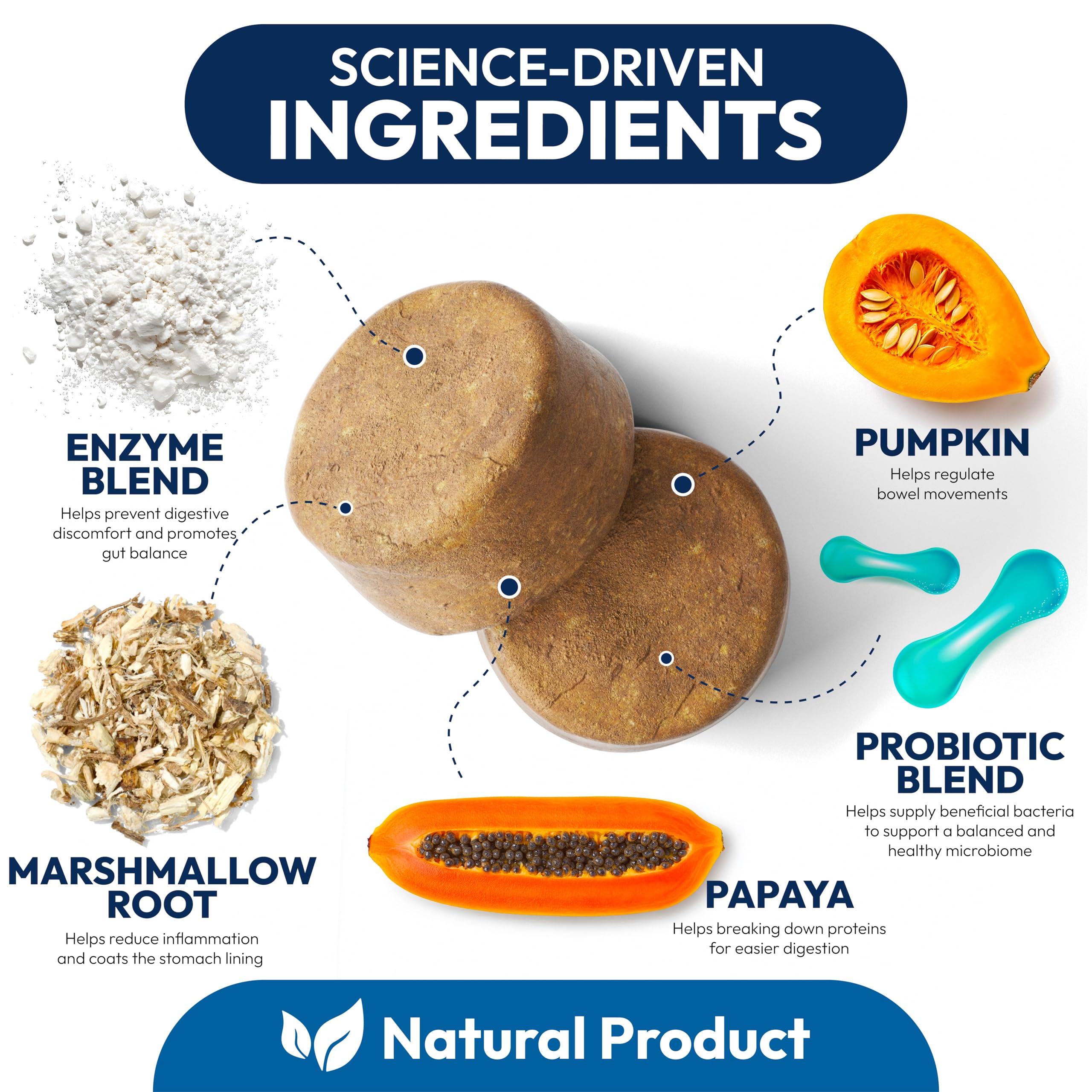Petsology Probiotics for Dogs ingredients blend includes prebiotics and enzymes for better nutrient use.