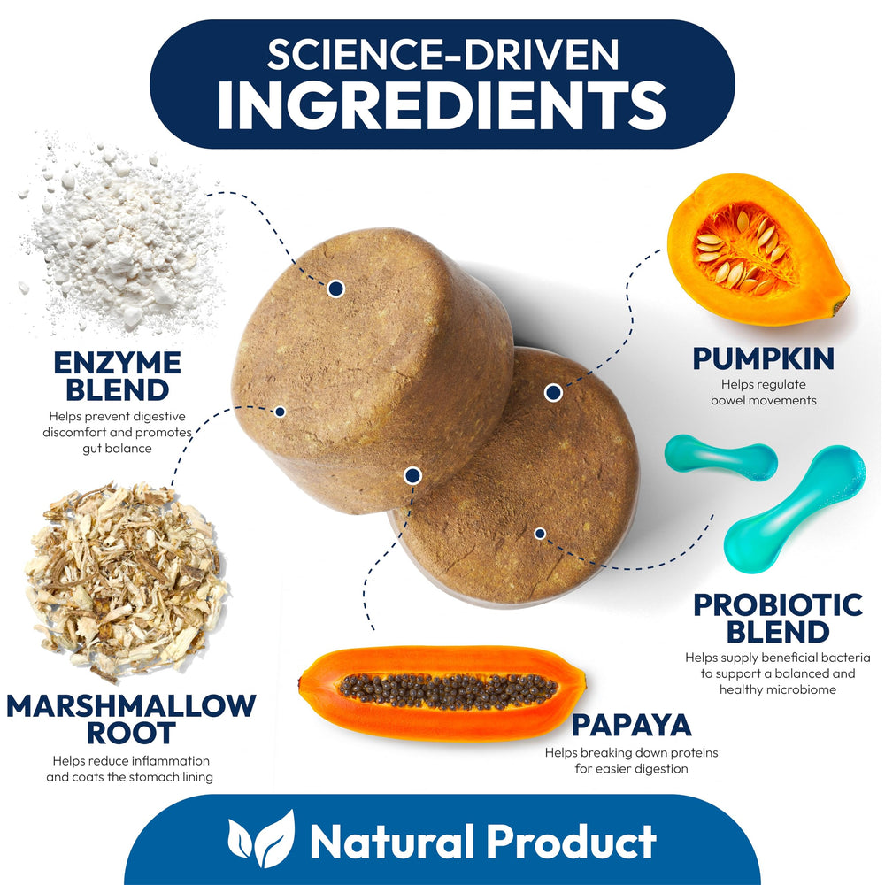 Petsology Probiotics for Dogs ingredients blend includes prebiotics and enzymes for better nutrient use.