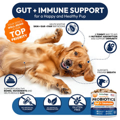 Petsology Probiotics for Dogs label and USA facility mark reassure quality and safety.