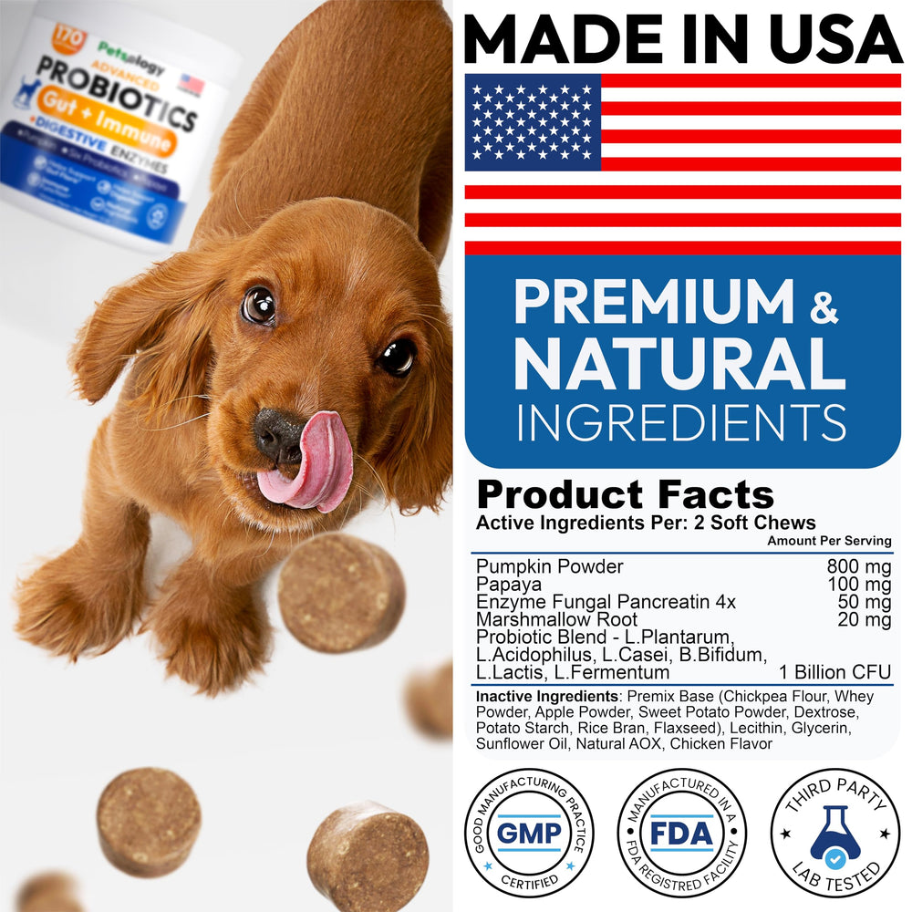 Petsology Probiotics for Dogs packaging box showcases trust and convenience for busy owners.