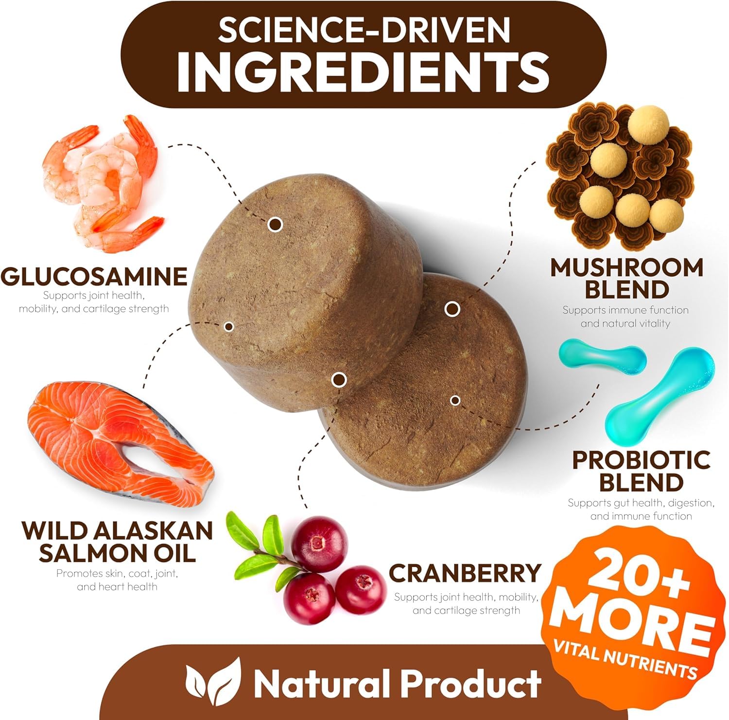 Petsology reishi dogs chews emphasize immune balance and vitality