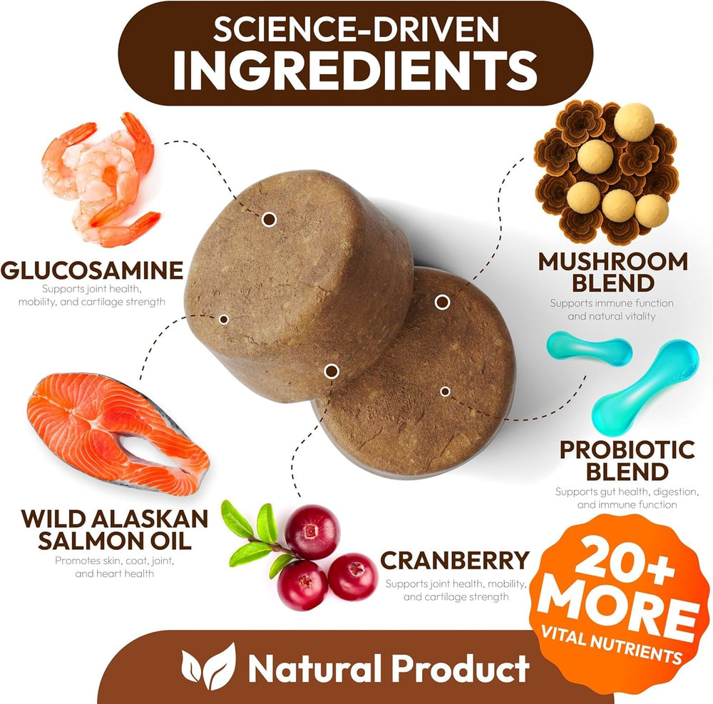 Petsology reishi dogs chews emphasize immune balance and vitality