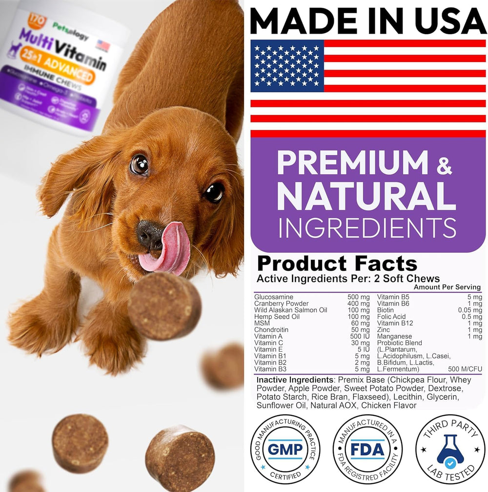 Petsology senior and puppy use image suggests age-appropriate supplementation.