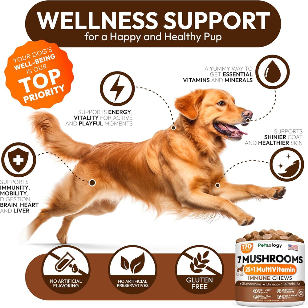 Petsology shiitake dogs chews for gut and skin health