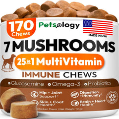 Petsology turkey tail dogs chews highlight immune support potential for daily wellness