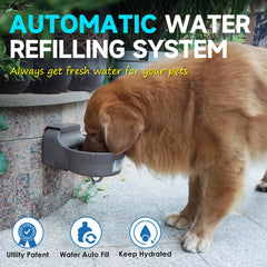 PETSOLON anti-tip-bracket mounted on wall keeps the bowl steady.