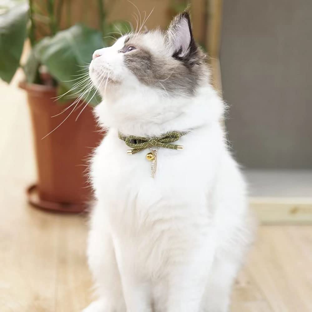 PetSoKoo soft, lightweight green cat collar for comfortable all-day wear