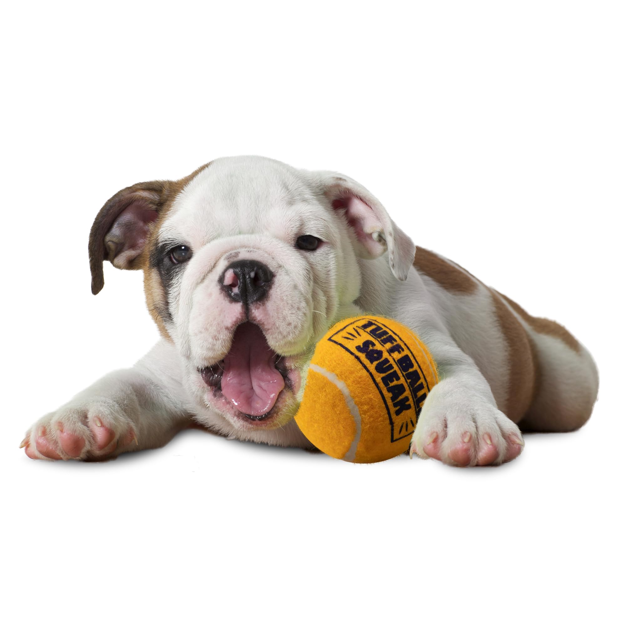 PetSport Giant Tuff Ball 6-pack packaging image showcases value and convenience for large-dog households