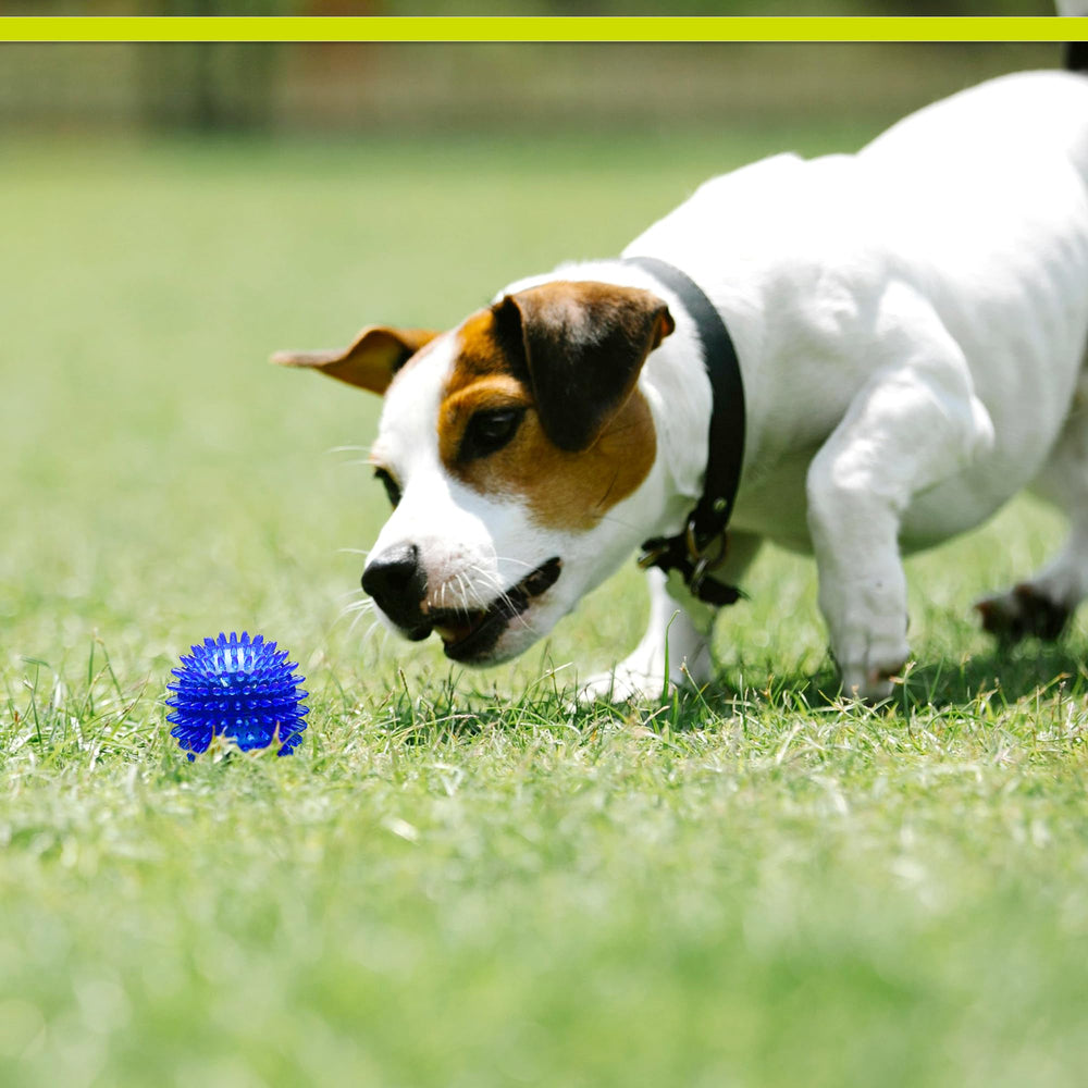 PetSport Gorilla Spiky Ball indoor-outdoor toy supports safe play in any space.