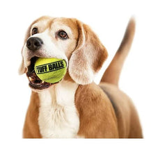 PetSport Jr Tuff Ball closeup rubber wall: extra-thick durability for chewy play