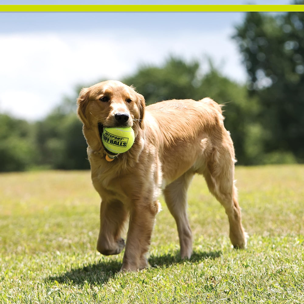 PetSport Jr Tuff Ball puppy-friendly 1.8-inch size designed for small dogs.