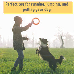 PetSpy dog ring toy floating on water for water play and retrieval.