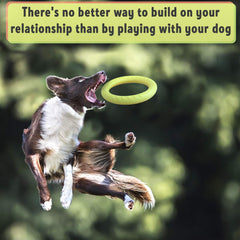 PetSpy large 11-inch ring for bigger dogs in fetch sessions