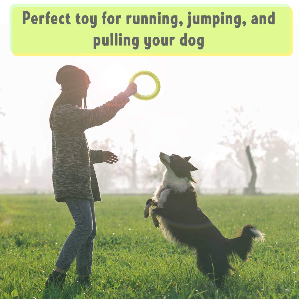 PetSpy Ring Toy floating on water for easy water play