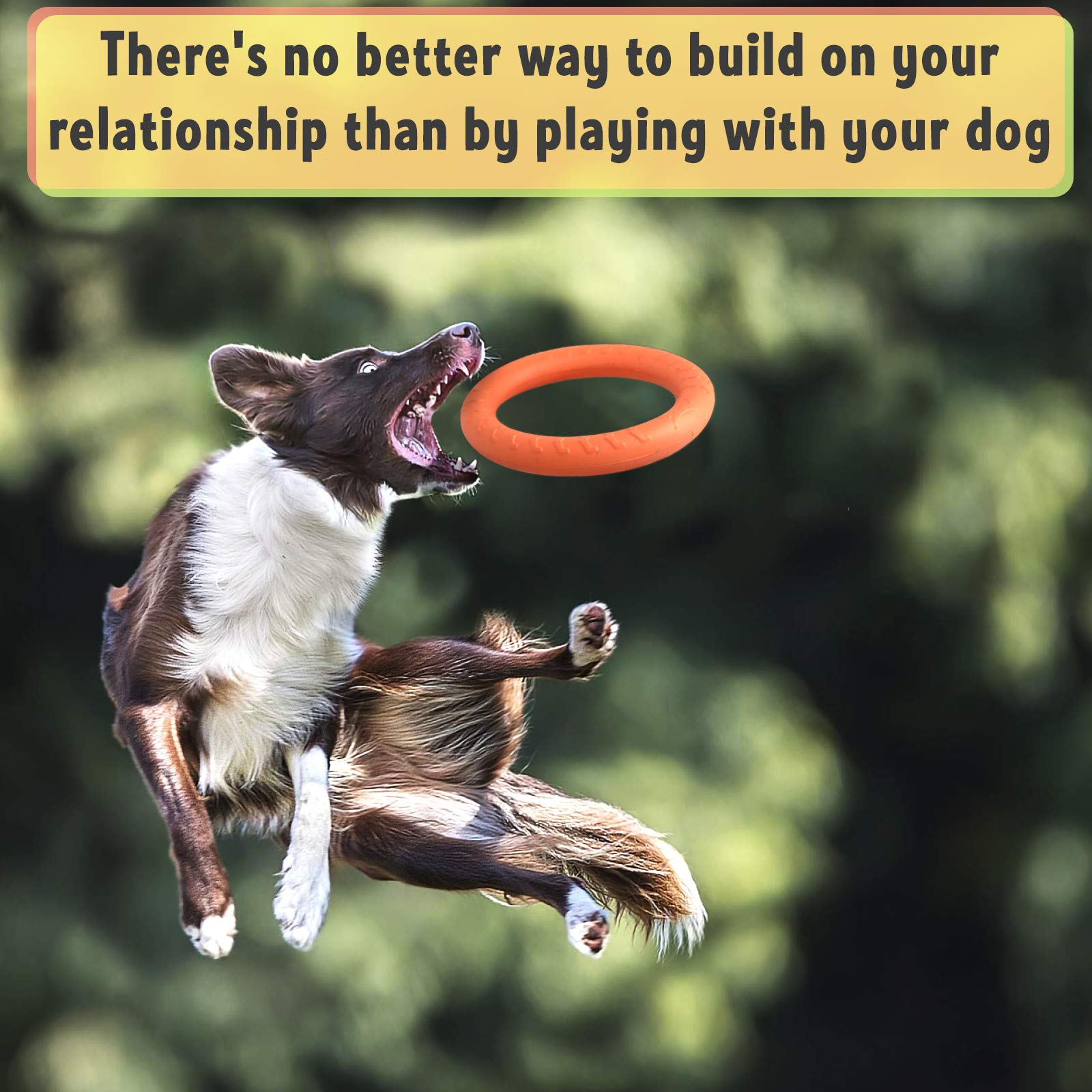 PetSpy ring toy large size ideal for medium and large dogs' workouts.