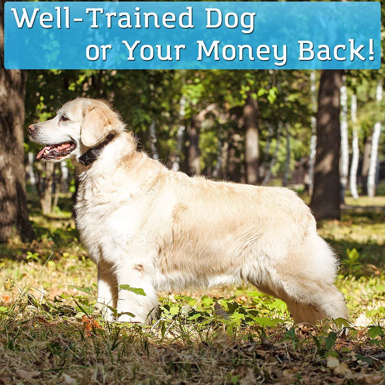 PetSpy shock collar with blind-operation design for easy use