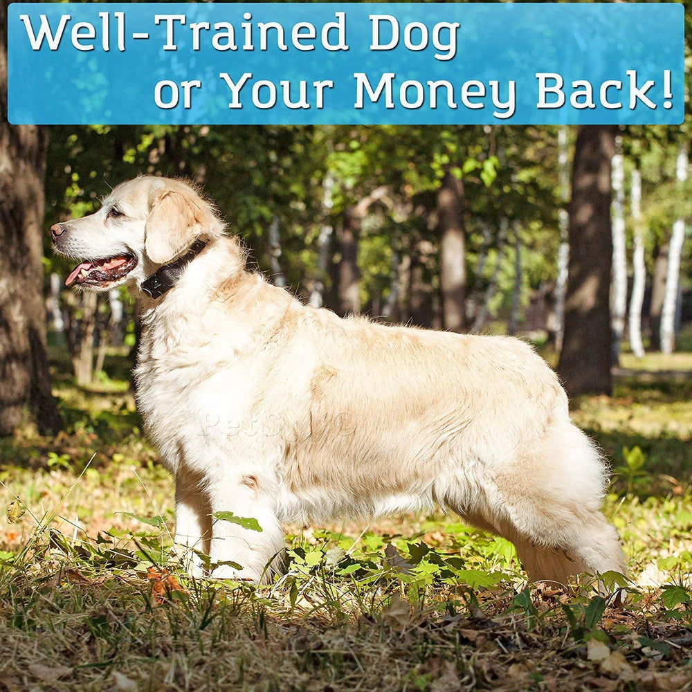 PetSpy shock collar with blind-operation design for easy use