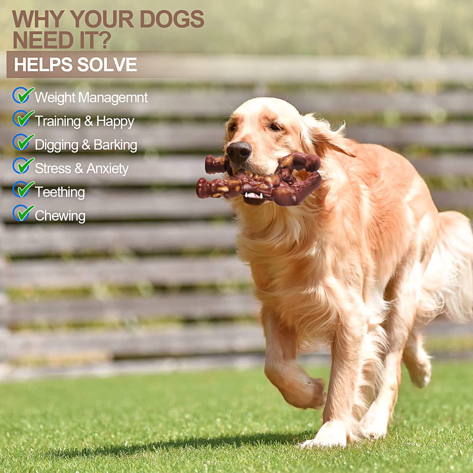 PETSTA gift packaging dog toy ready as a thoughtful gift