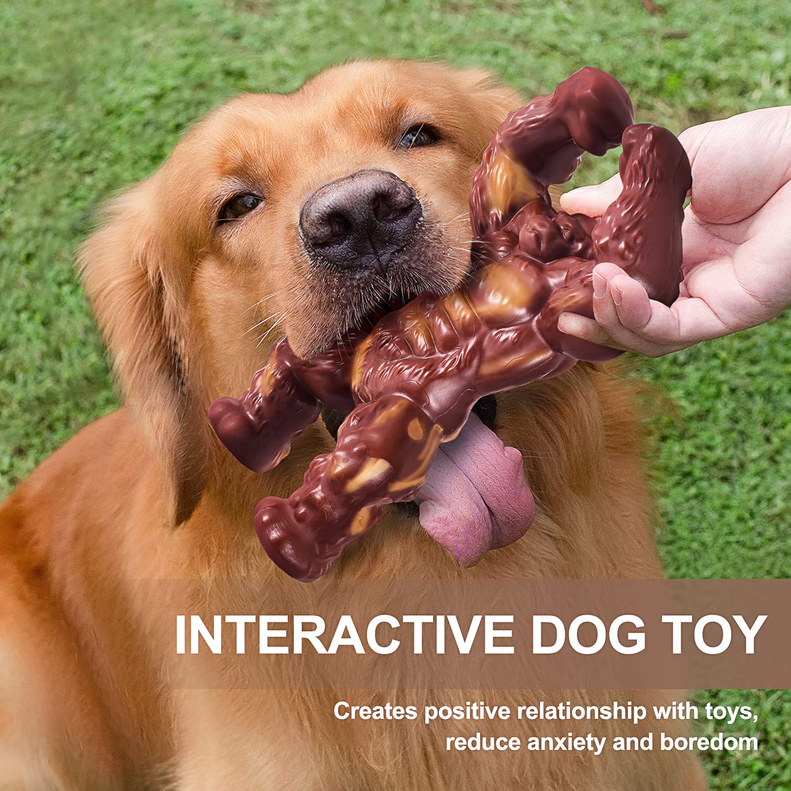 PETSTA dog toy supports healthy chewing habits and activity