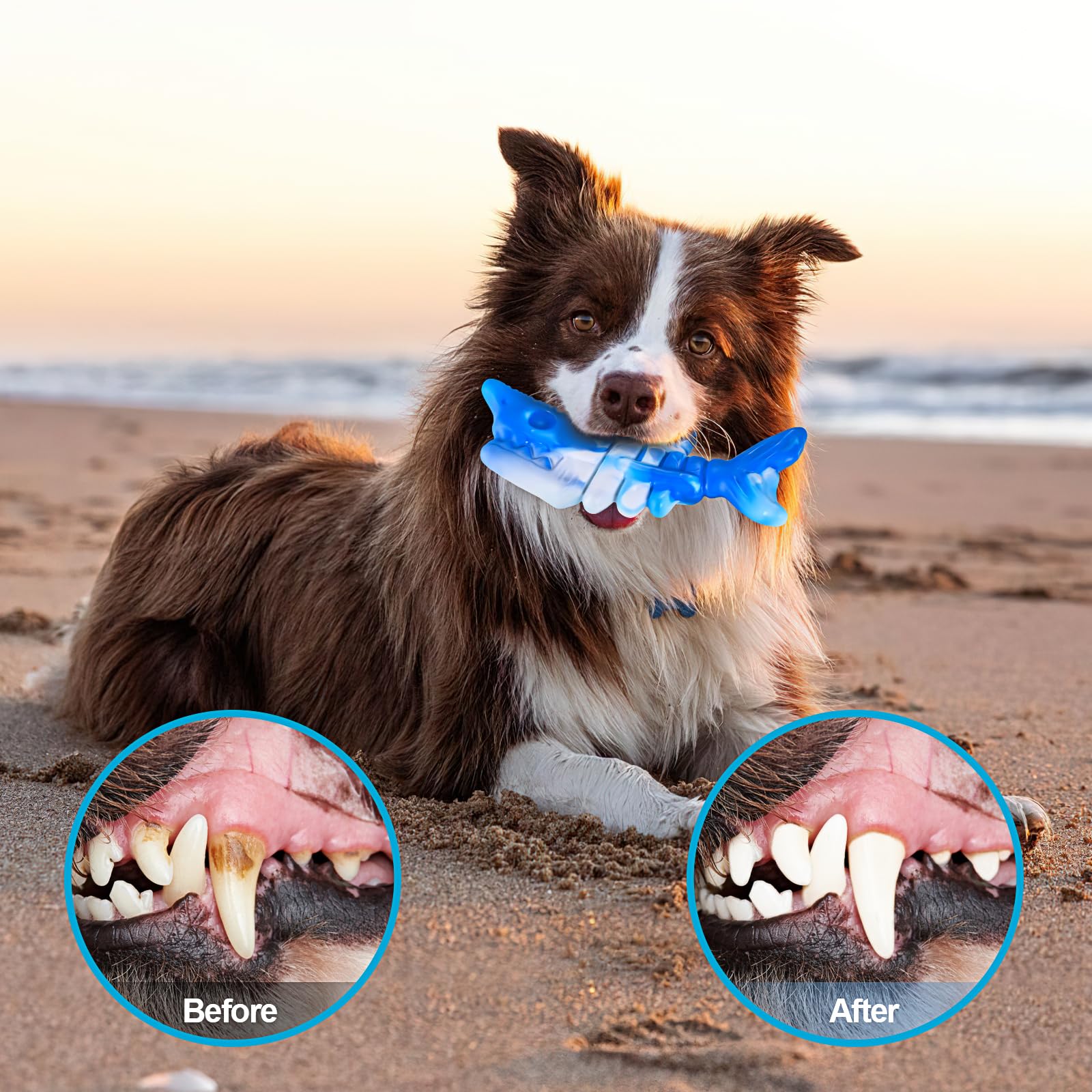 PETSTA food-grade nylon dog toy provides safe chew option for persistent chewers