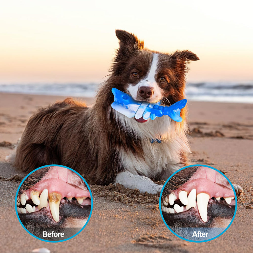 PETSTA food-grade nylon dog toy provides safe chew option for persistent chewers