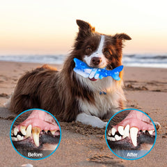 PETSTA food-grade nylon dog toy provides safe chew option for persistent chewers