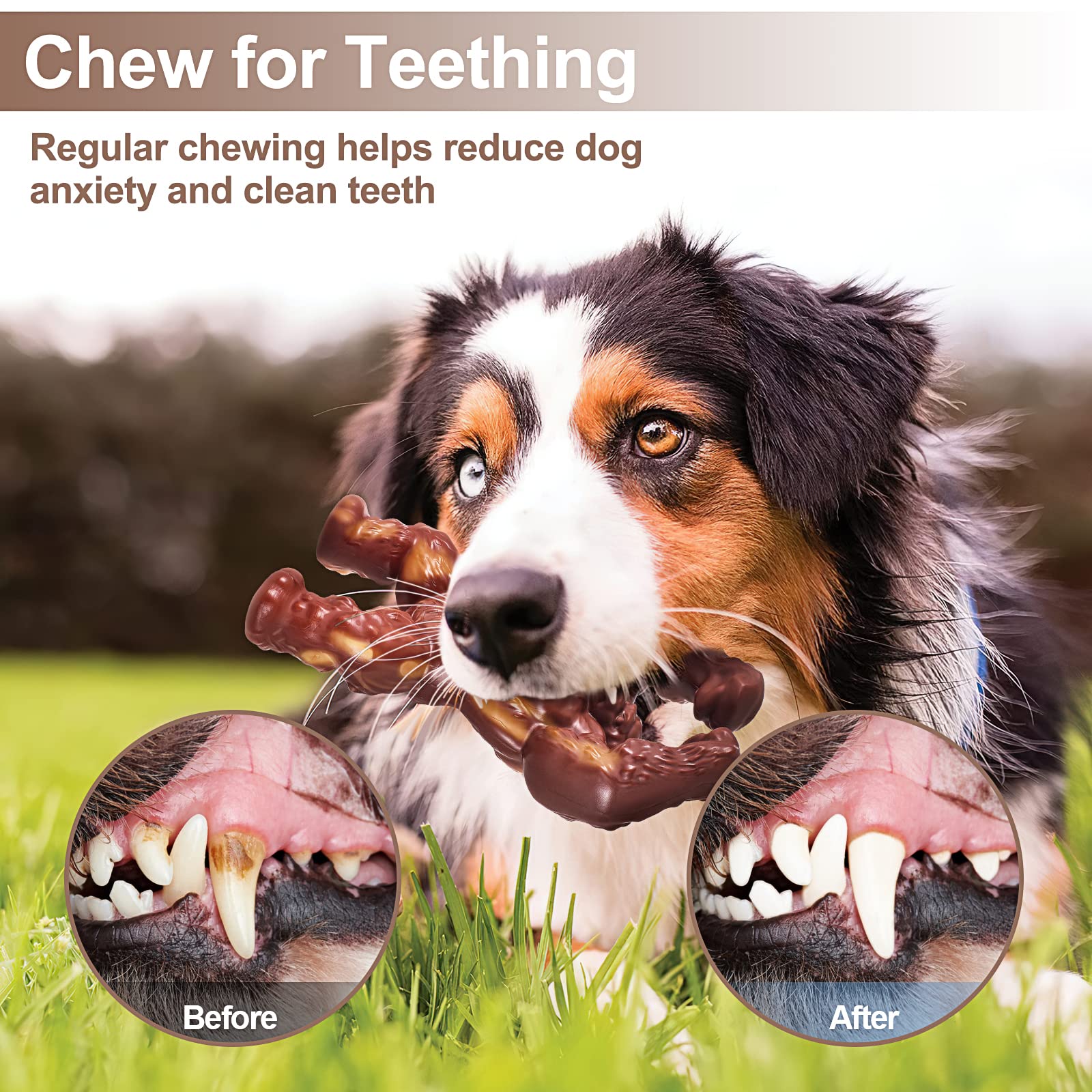 PETSTA for aggressive chewers demonstrates reliable, satisfying chewing sessions