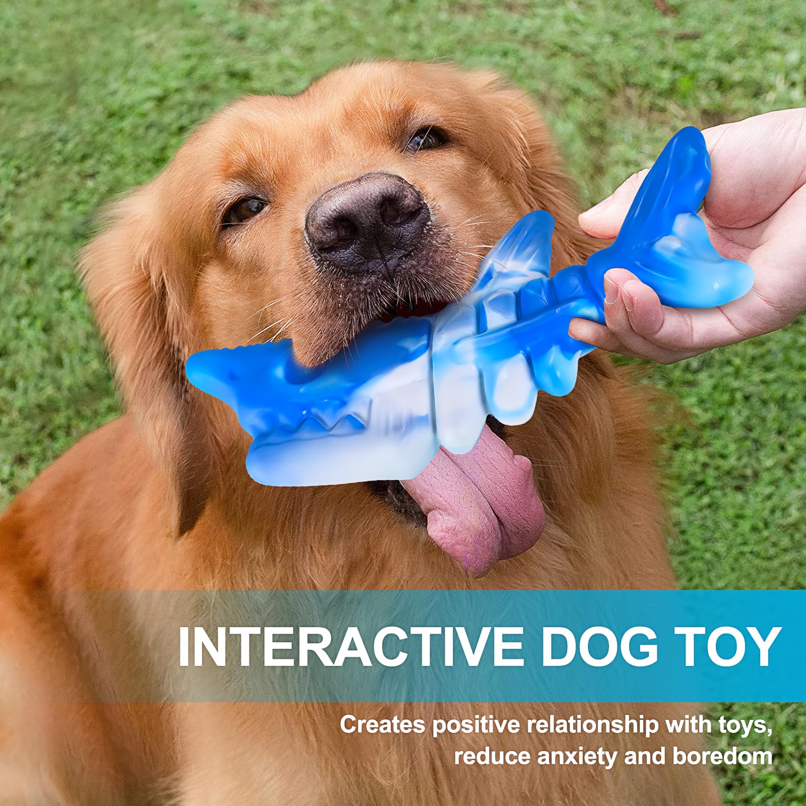 PETSTA long-lasting entertainment dog toy for solo play sessions