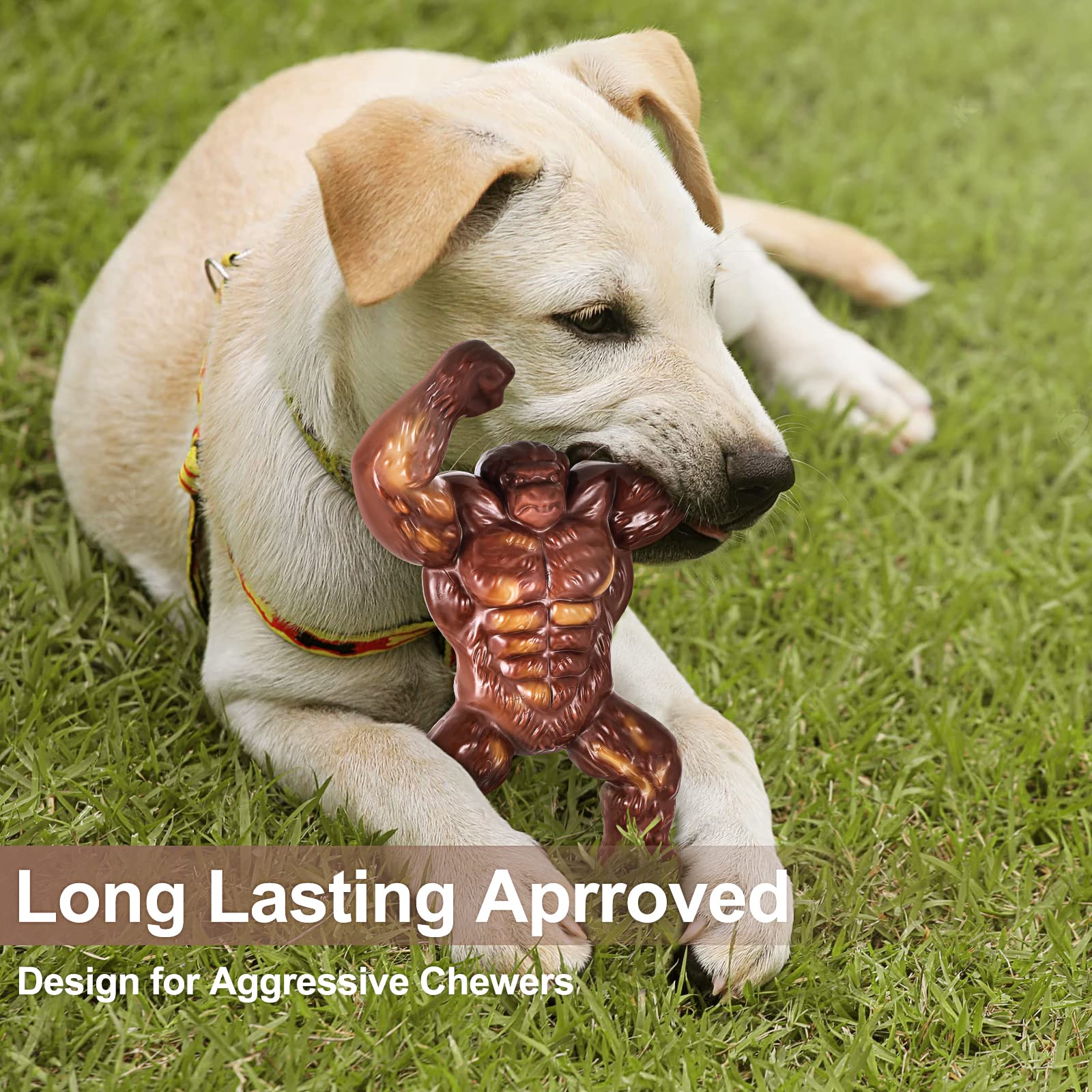 PETSTA nylon toy for aggressive chewers showcases heavy-duty durability