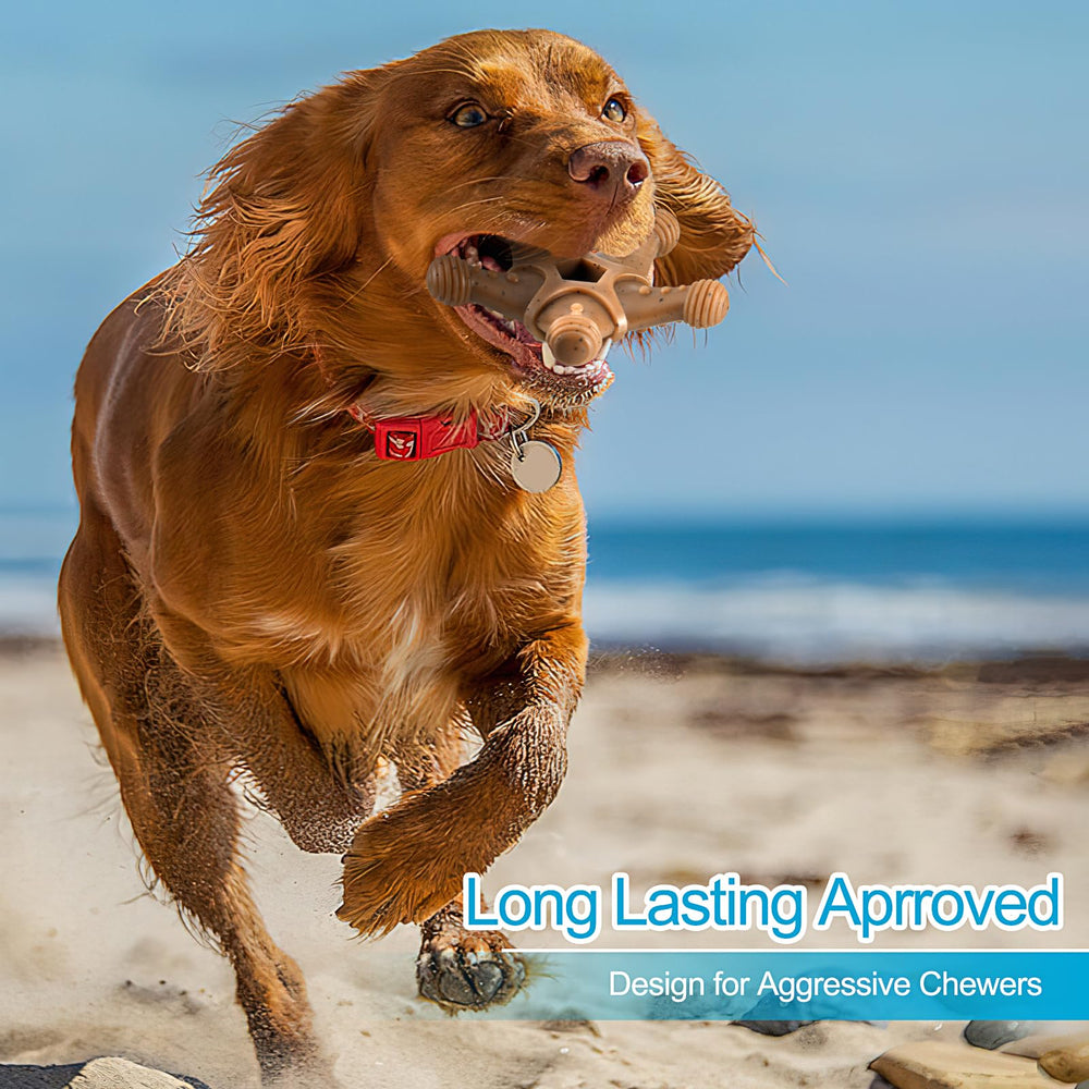 PETSTA Tough Dog Toy packaging gift-ready four-pack for dogs