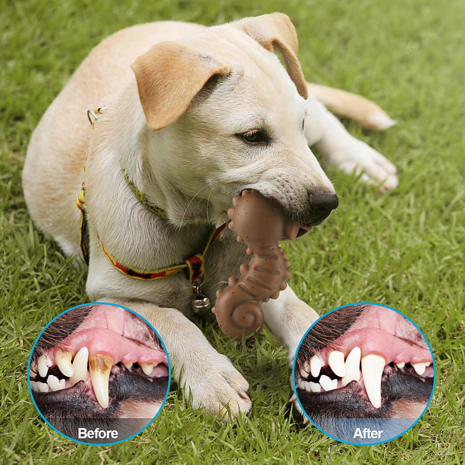 PETSTA Tough Dog Toy paw-friendly grip makes pickup easy during play sessions