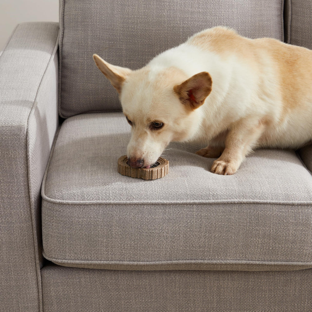 Petstages Dogwood Ring Small durable wood blend resists wear