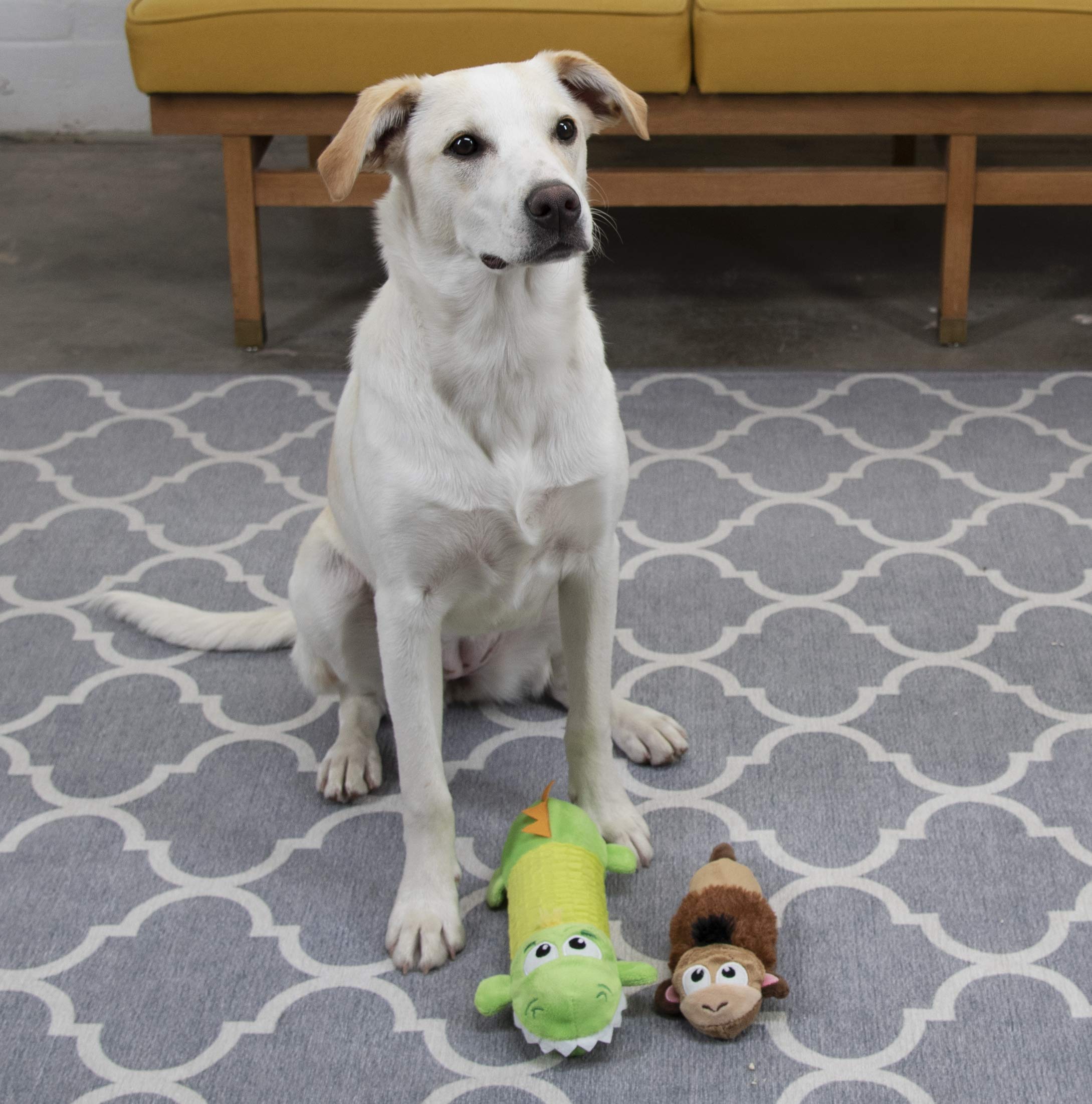 Petstages Lil' Squeak Monkey plush toy small with safety cues for supervised play.