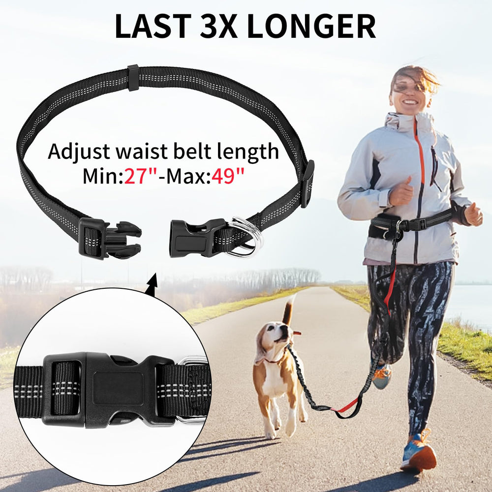 Petstars reflective stitching boosts night visibility for safer walks.