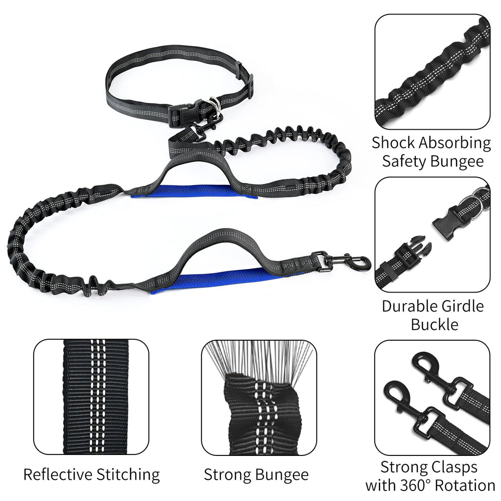 Petstars running scene demonstrates hands-free freedom while dog stays close on a comfortable leash.