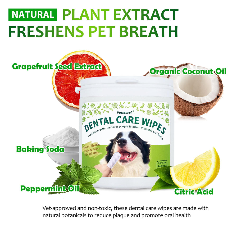 Petstoral dental powder dosing dish showing powder added to meals