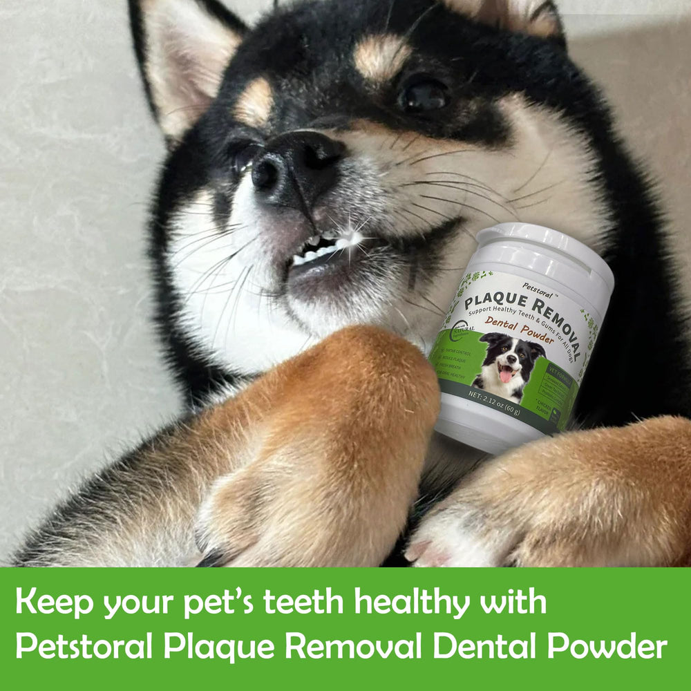 Petstoral fresh-breath dogs image demonstrates potential breath improvement through routine use.