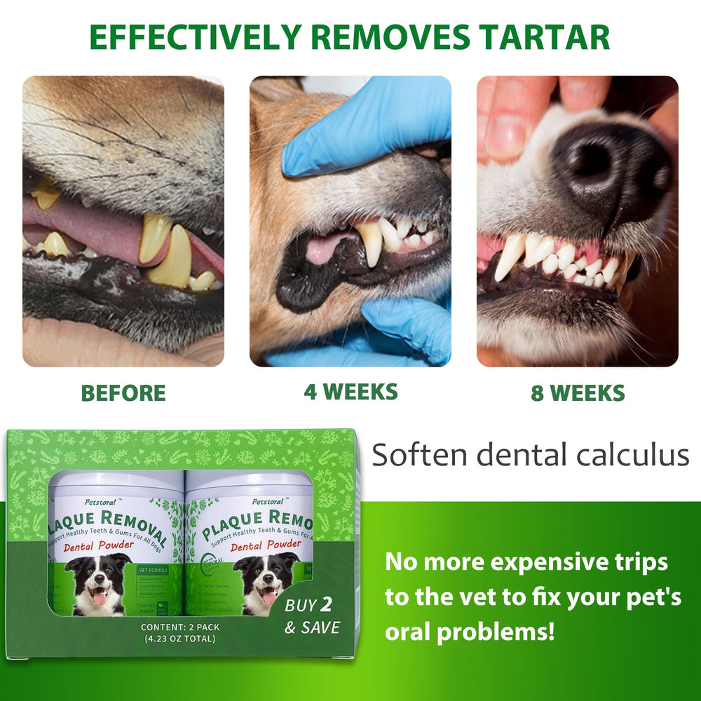 Petstoral plaque-removal dog teeth close-up shows cleaner-looking teeth.